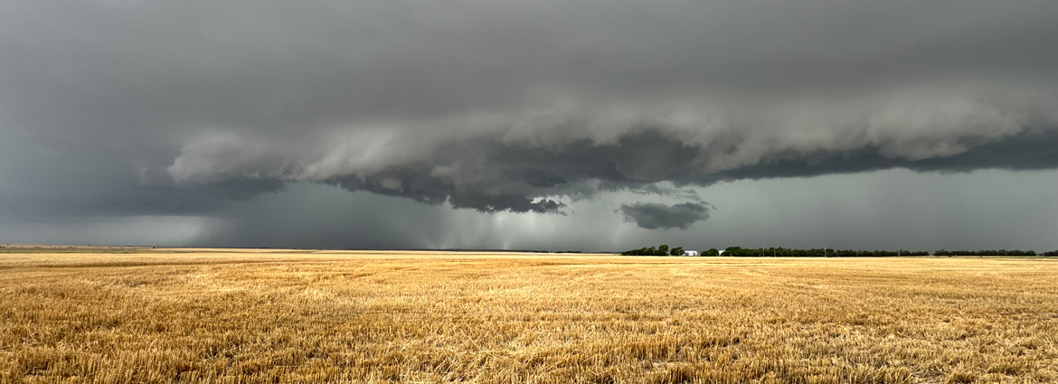 Wheat Harvest with looming storm
